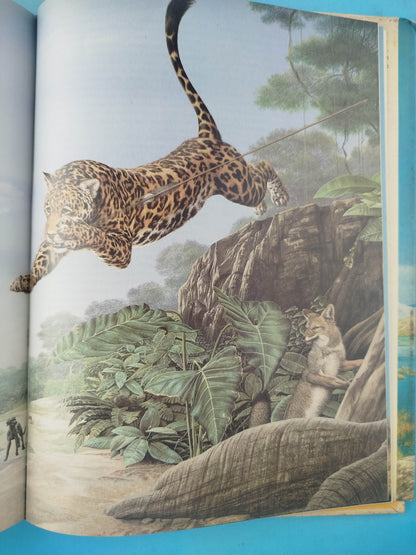 Guerreros, dioses y espíritus de la mitología de América Central y Sudamérica