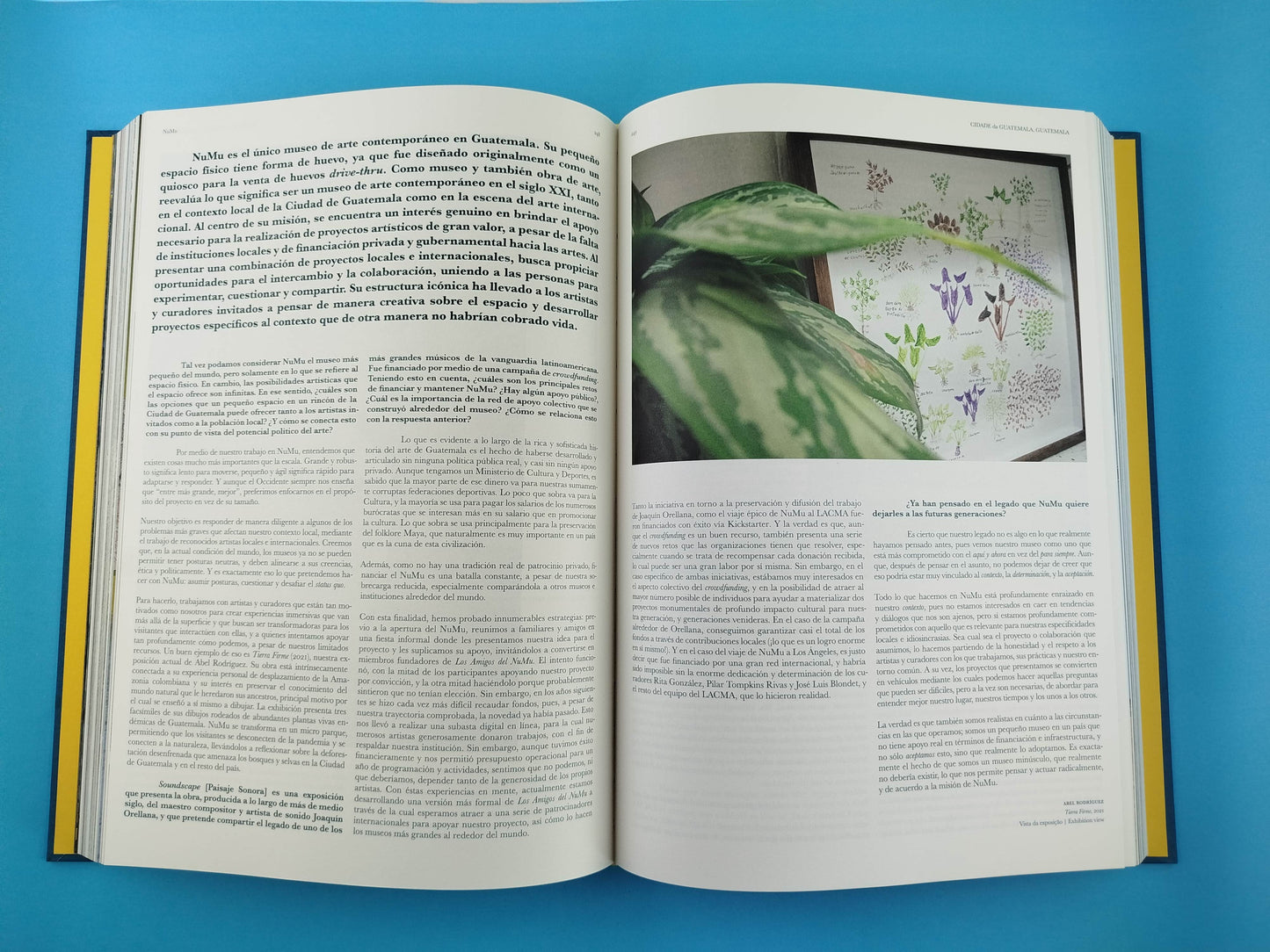 Onde Vive a Arte na América Latina