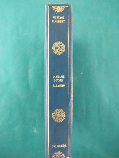 Madame Bovary salambo