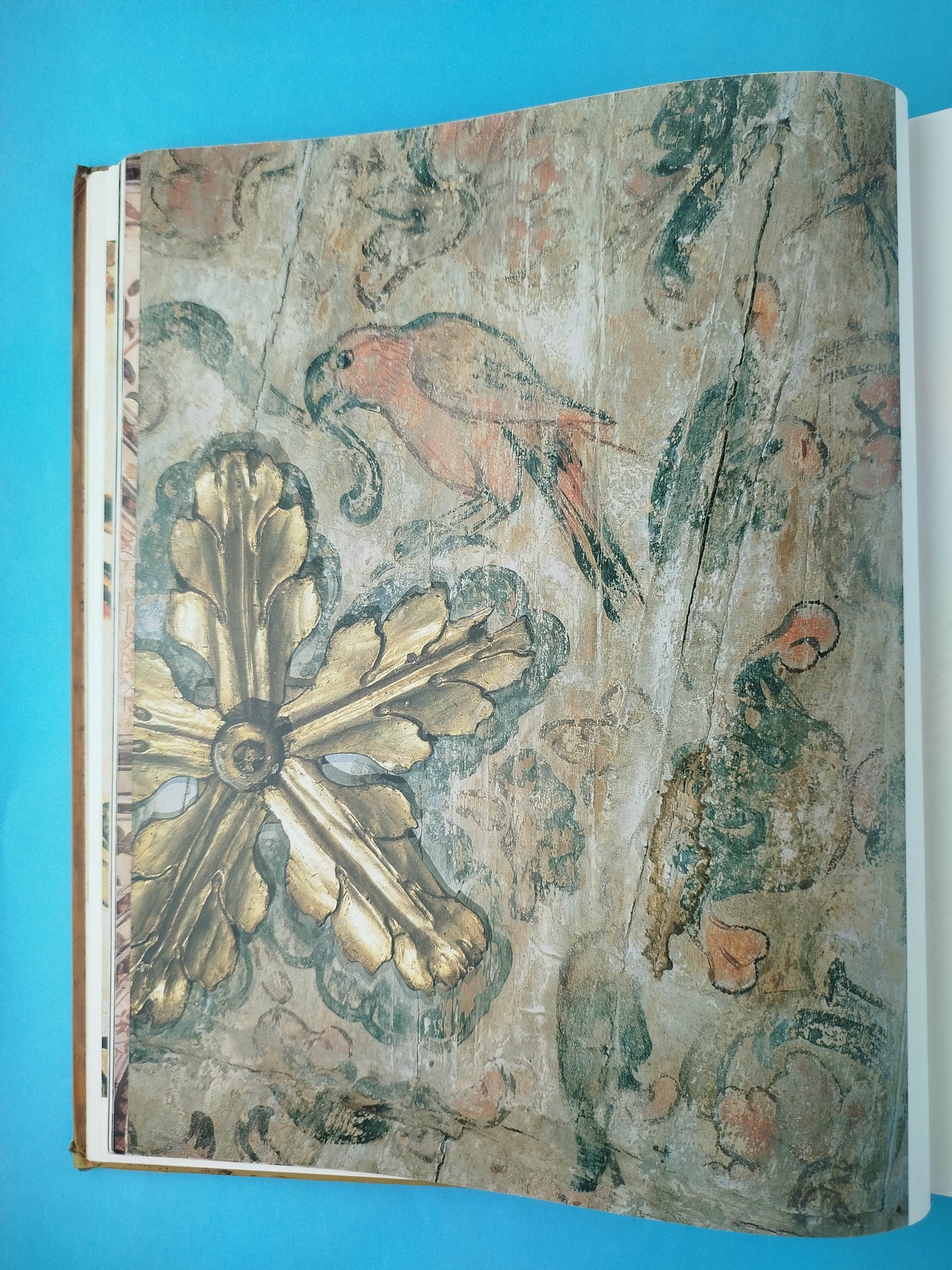 Imágenes bajo cal y pañete