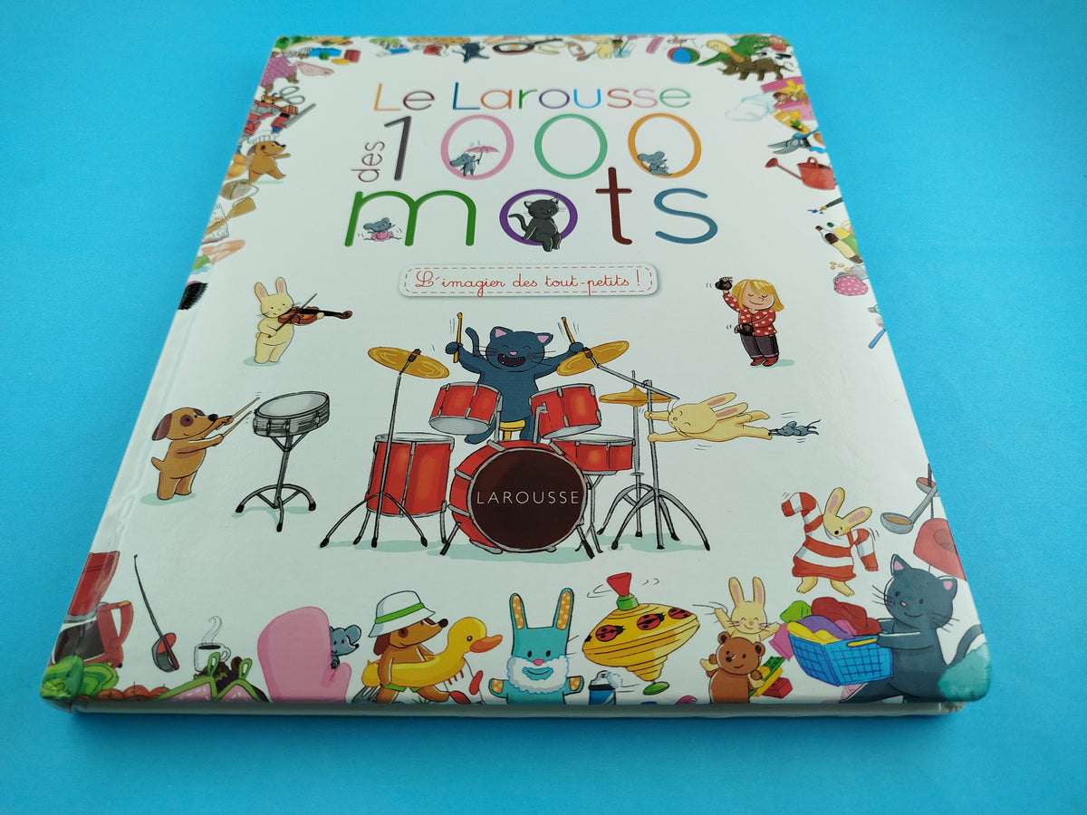 Le Larousse des 1.000 mots by Caroline Modeste