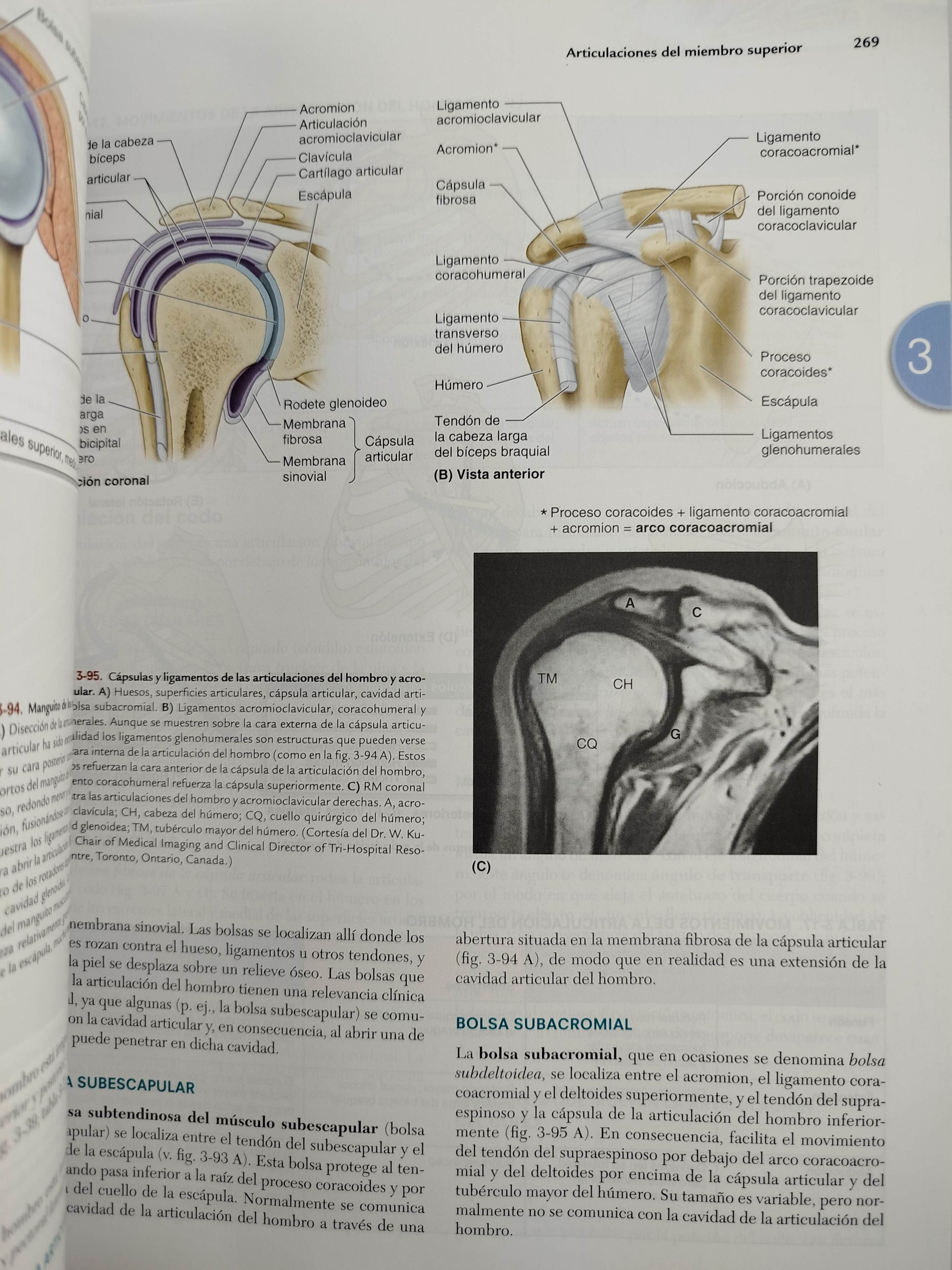 Anatomía con orientación clínica 9 edición by Keithl Moore
