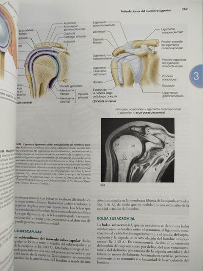 Anatomía con orientación clínica 9 edición by Keithl Moore