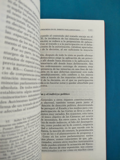 Democracia parlamentaria y principio minoritario