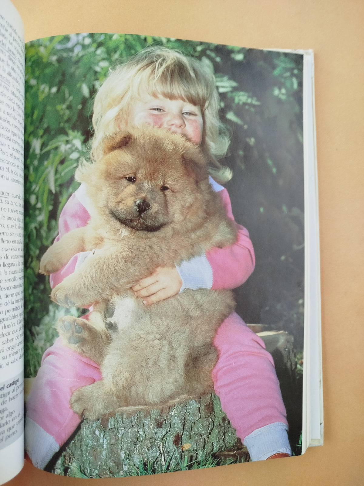 Todo Sobre Tu Perro by Ulrich Klever