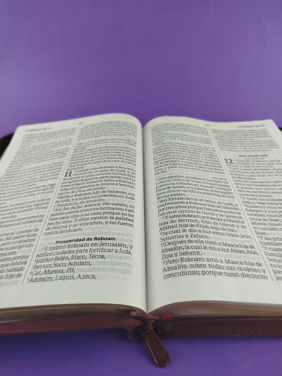 Biblia Letra Gigante Vinotinto Sin Indice by libreriatroya.com