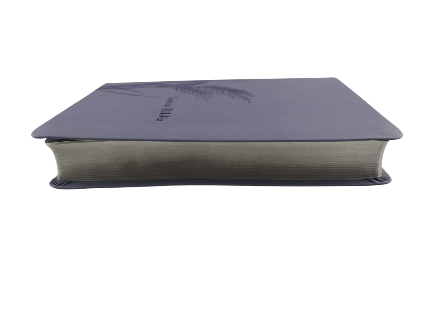 Biblia promesas RVR canto plateado sin cierre by Tyndale
