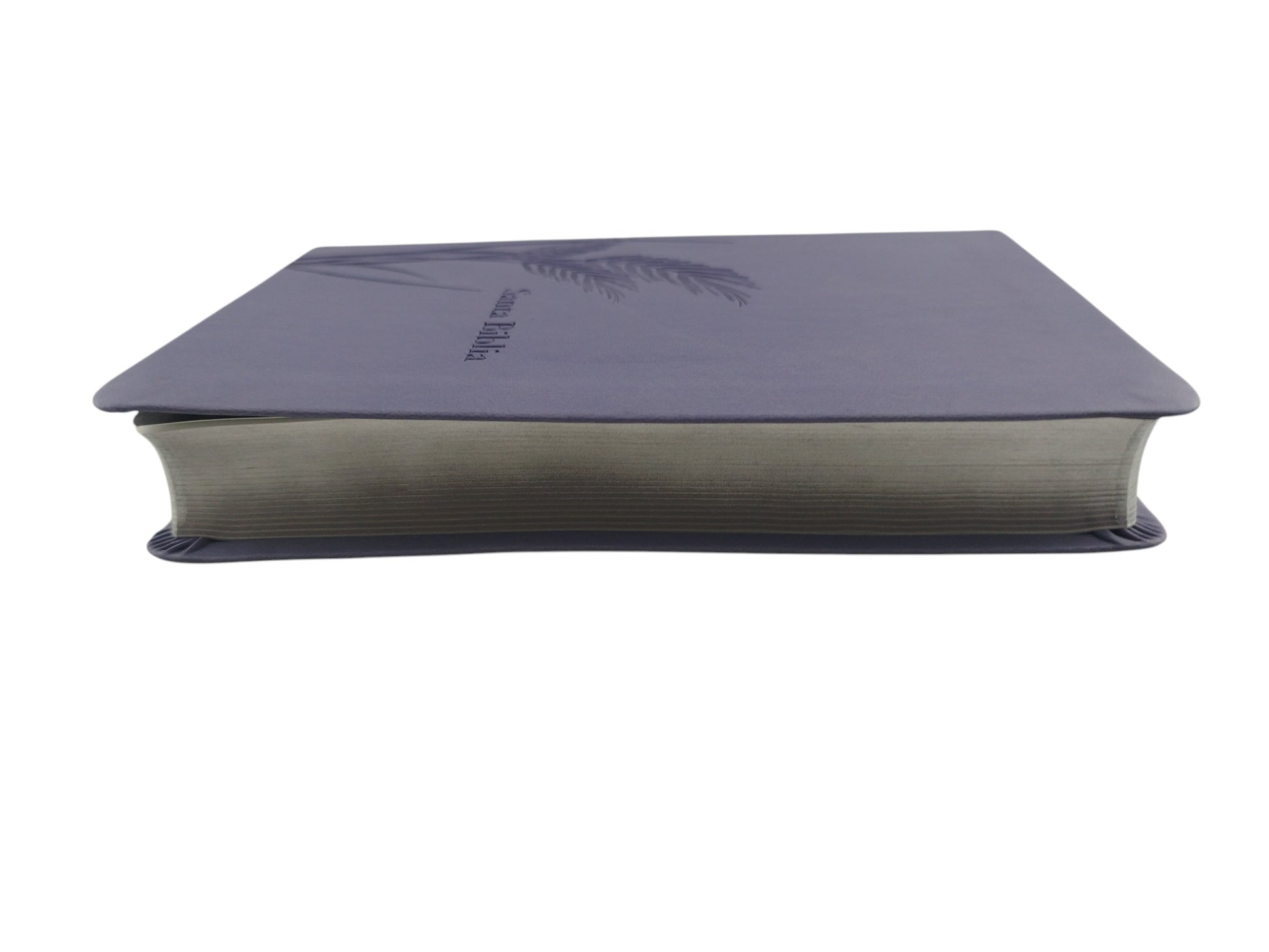 Biblia promesas RVR canto plateado sin cierre by Tyndale
