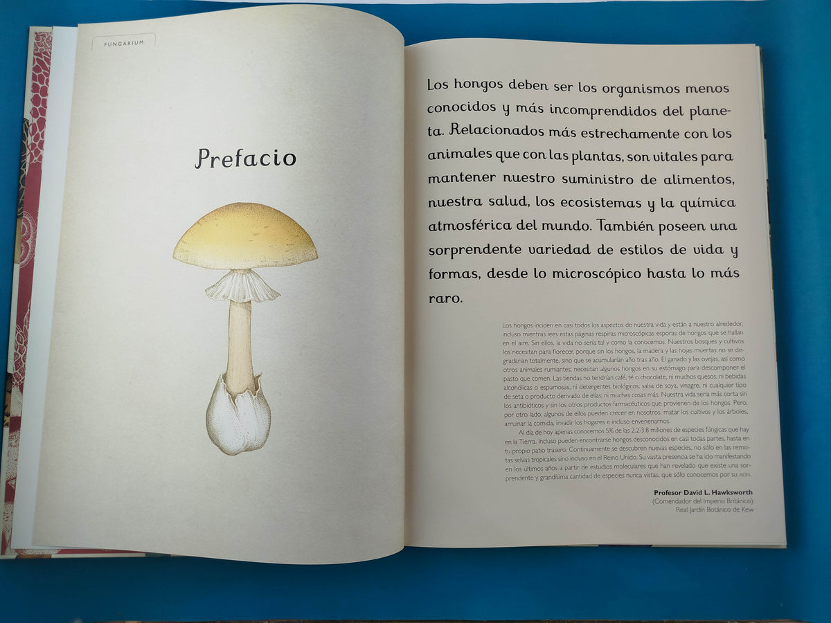 Fungarium by katie scott Y ester gaya