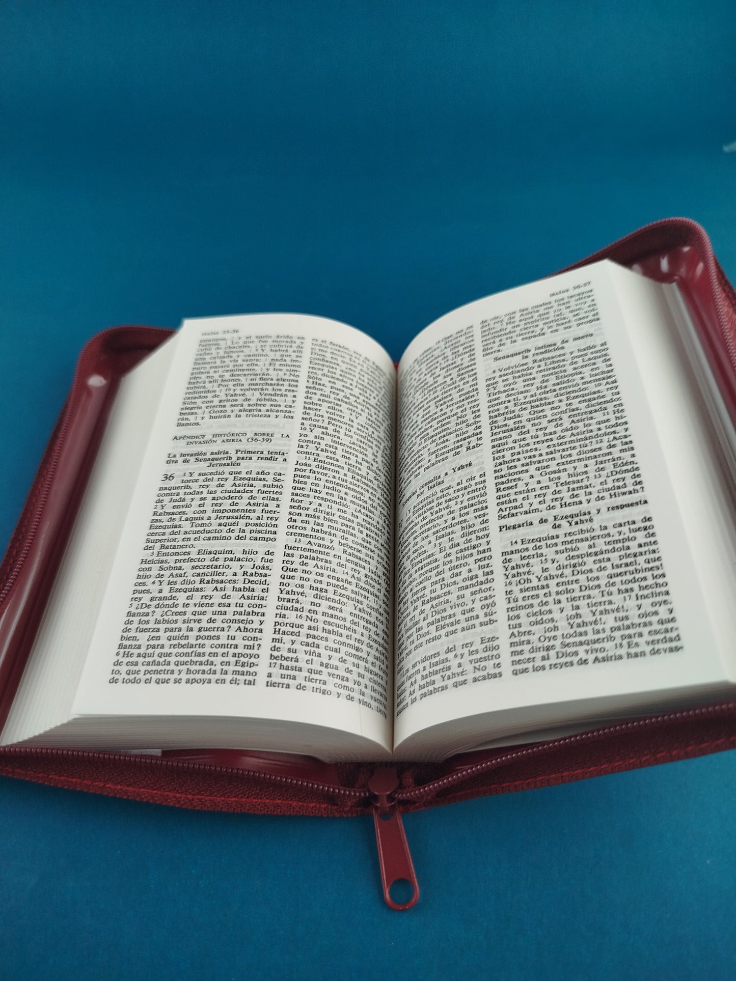 Biblia nácar colunga pequeña cierre by Eloino Nacar Y Alberto Colunga