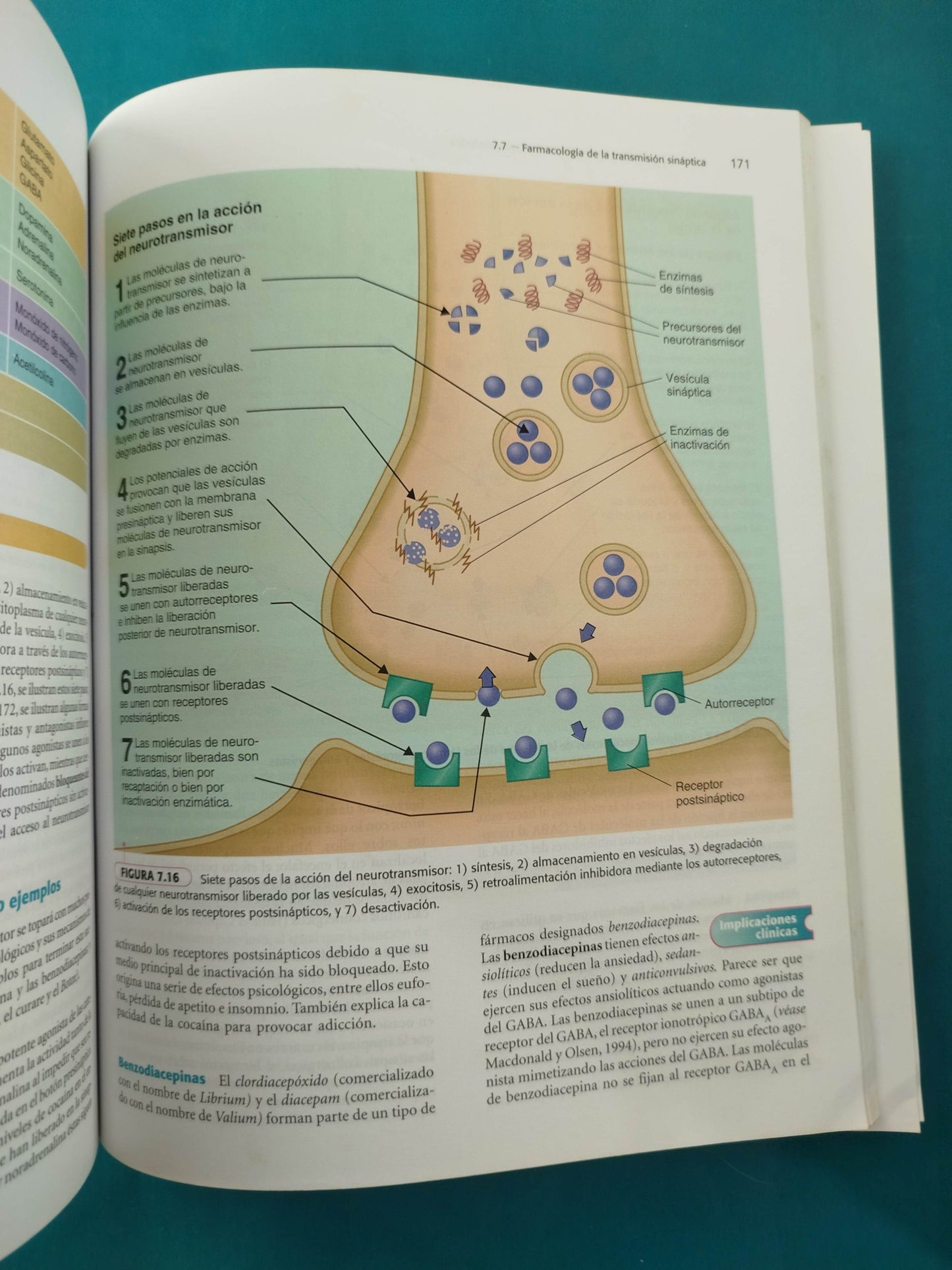Biología Y Neuropsicología