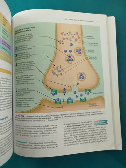 Biología Y Neuropsicología