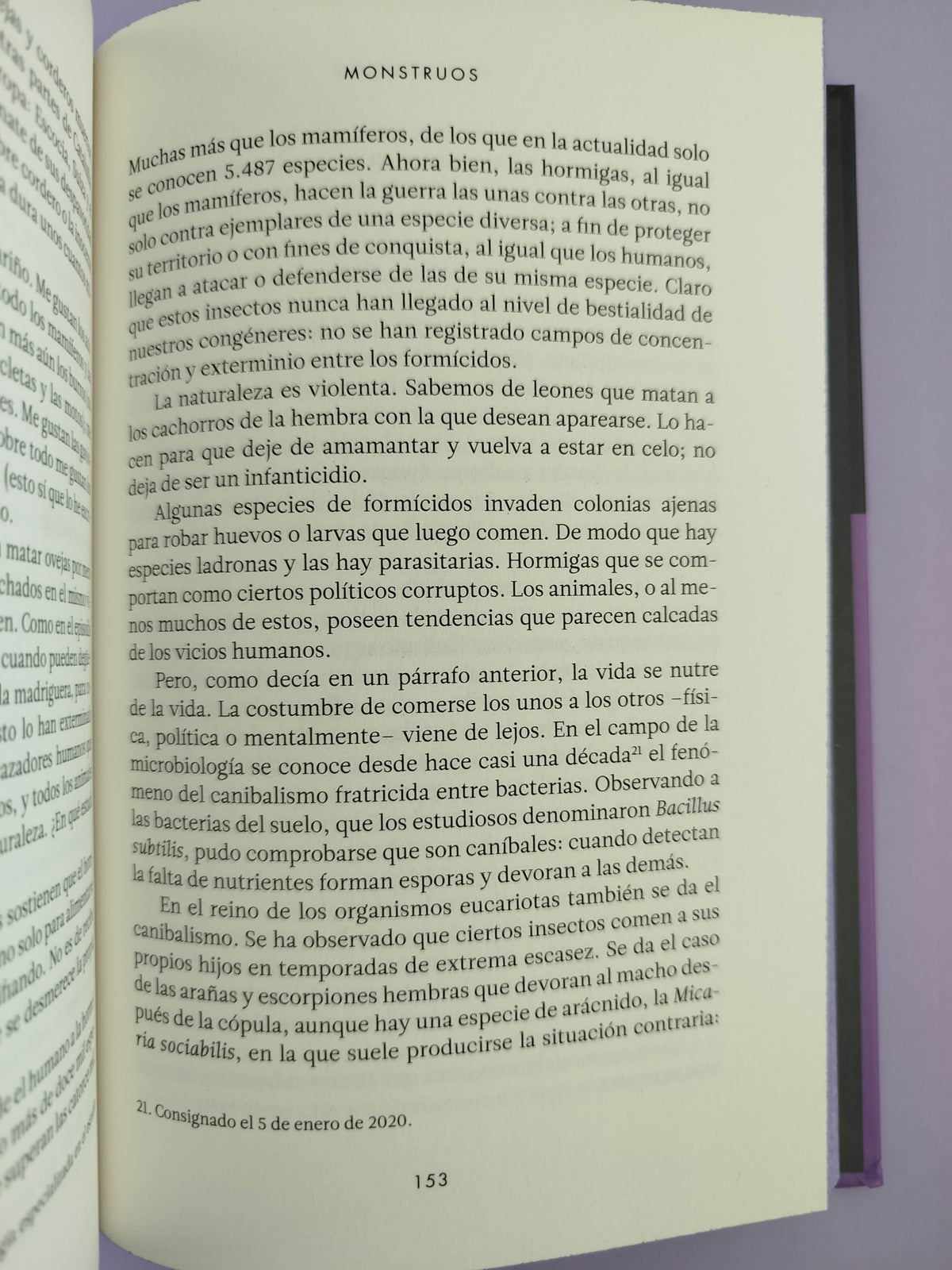 Cosmovisión by Covadlo Lazaro