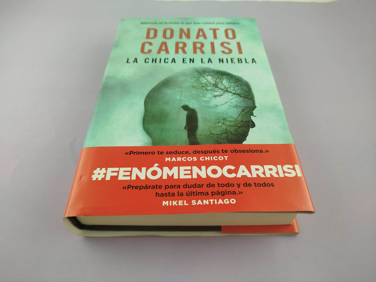 La Chica en la niebla