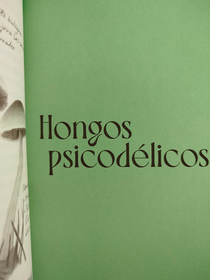 Hongos que curan by Diana Carolina Quintero Gil