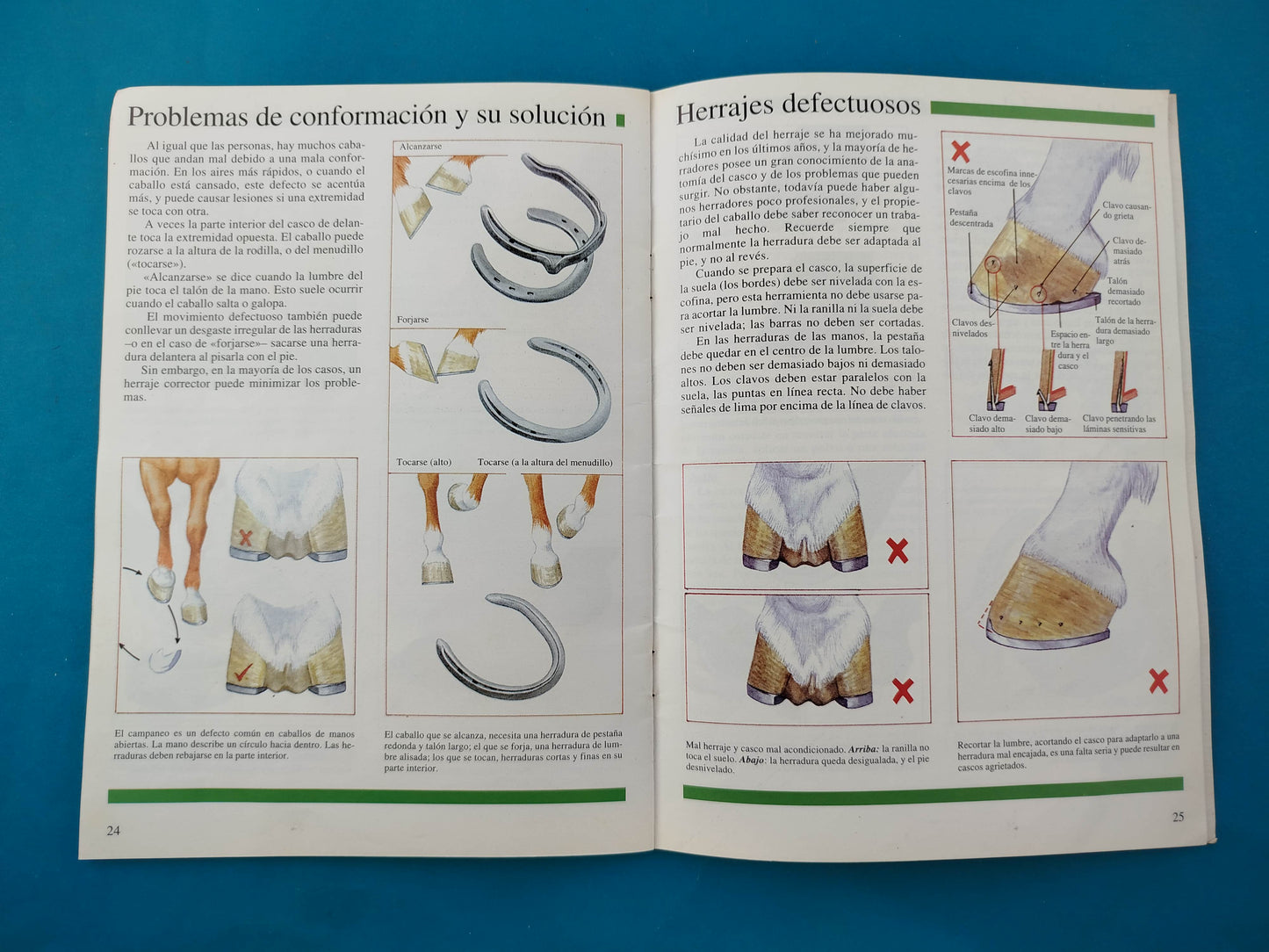 Cascos y Herrajes