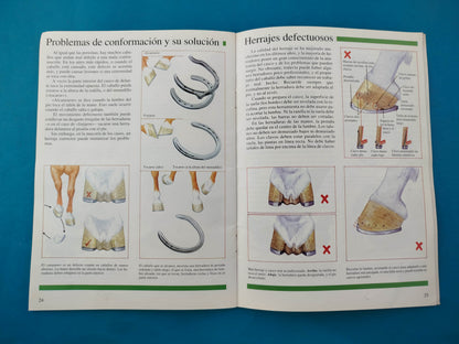 Cascos y Herrajes