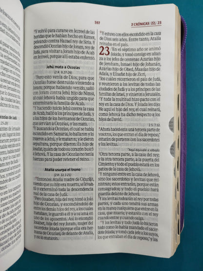 Biblia rvr Beige Morado Canto Dorado Cierre con índice by Reina Valera 1960