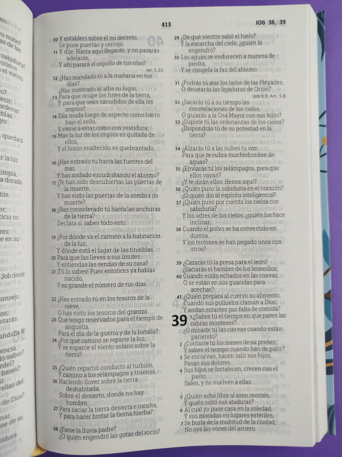 Biblia RVR1960 azul ramas tapa flexible