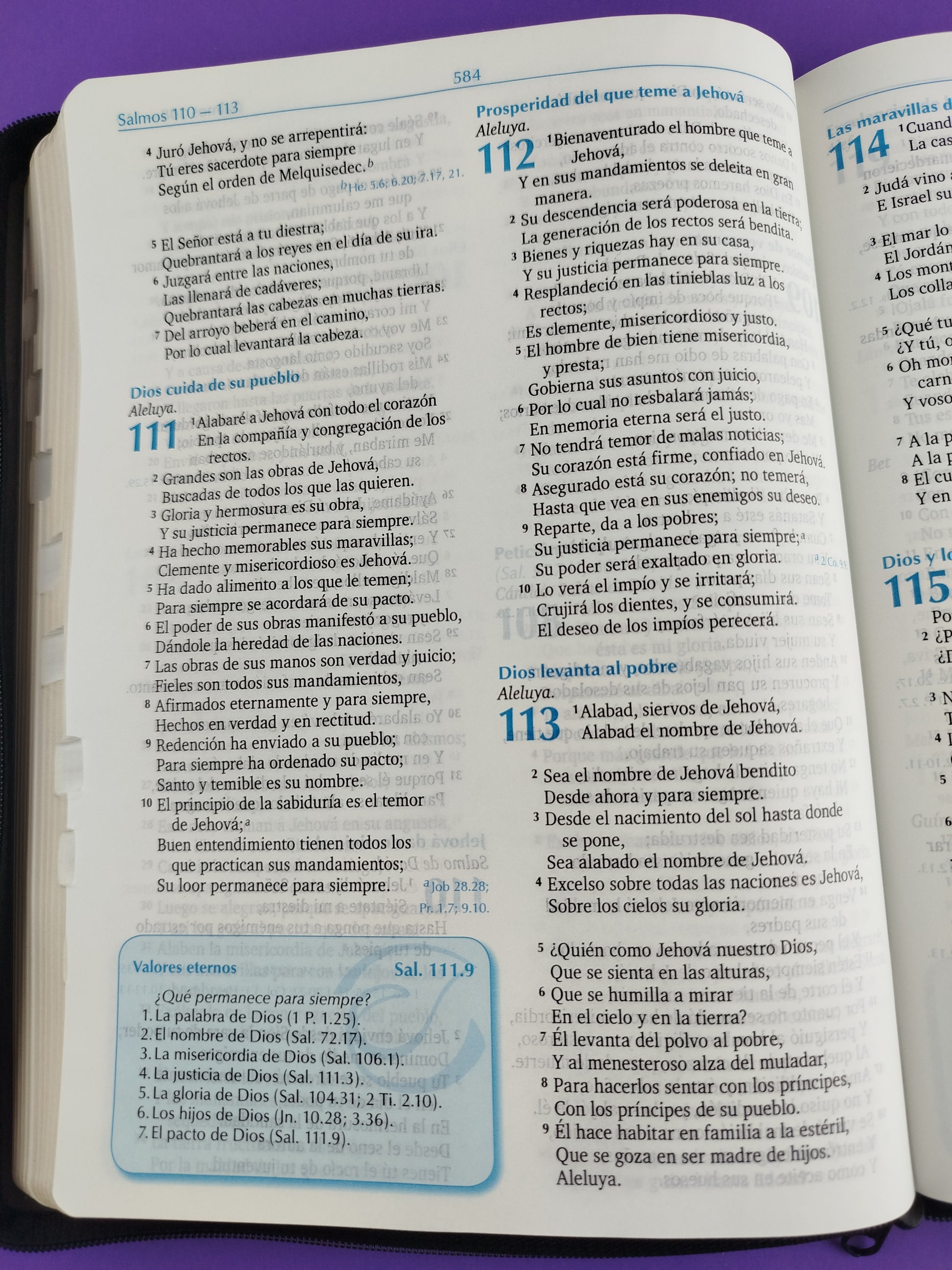 Biblia para la predicación negra con cierre e índice by Reina Valera 1960