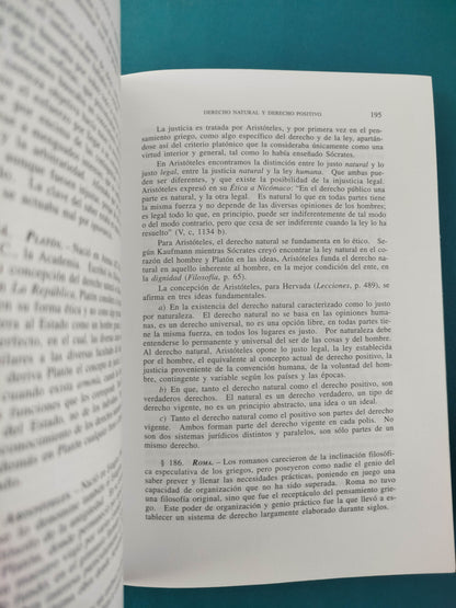 Introduccion Al Derecho: Teoria General, Argumentacion, Razonamiento Juridico