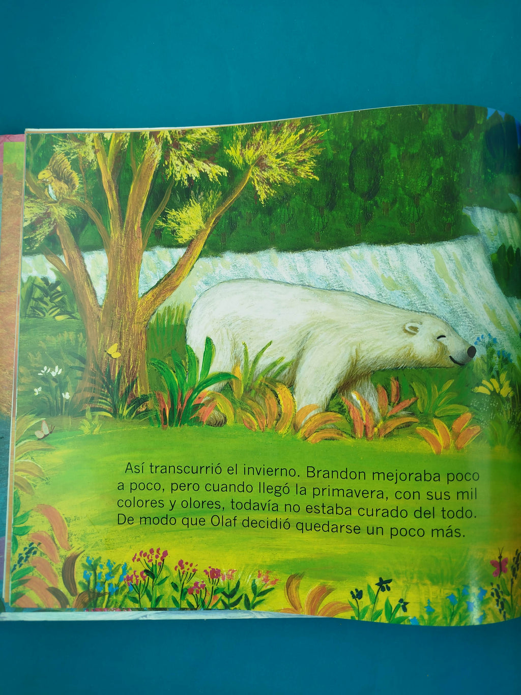 El oso y la solidaridad by José Morán Y Paz Rodero