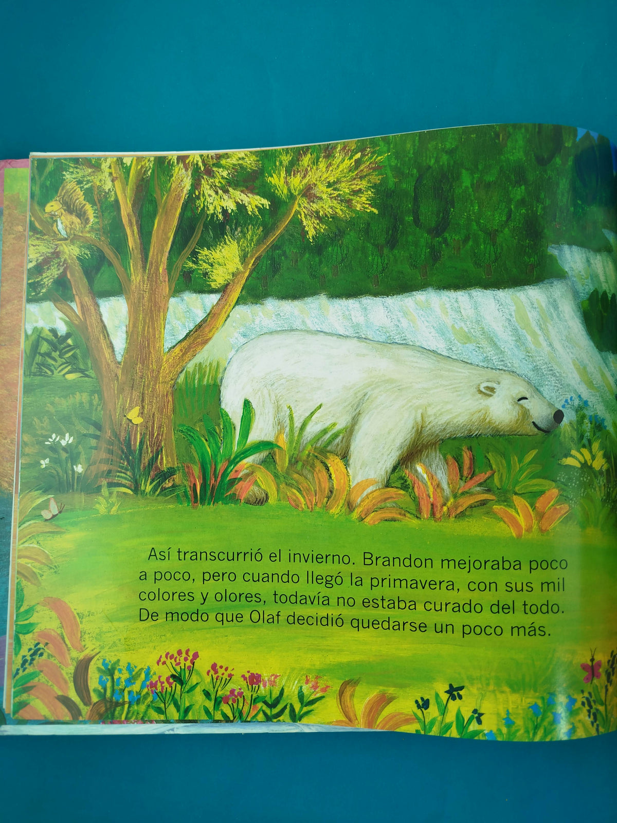 El oso y la solidaridad by José Morán Y Paz Rodero