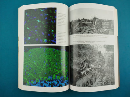 La mente bien ajardinada