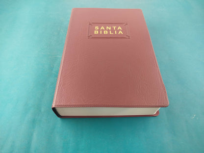 Biblia NTV Edición premio y regalo vino tinto