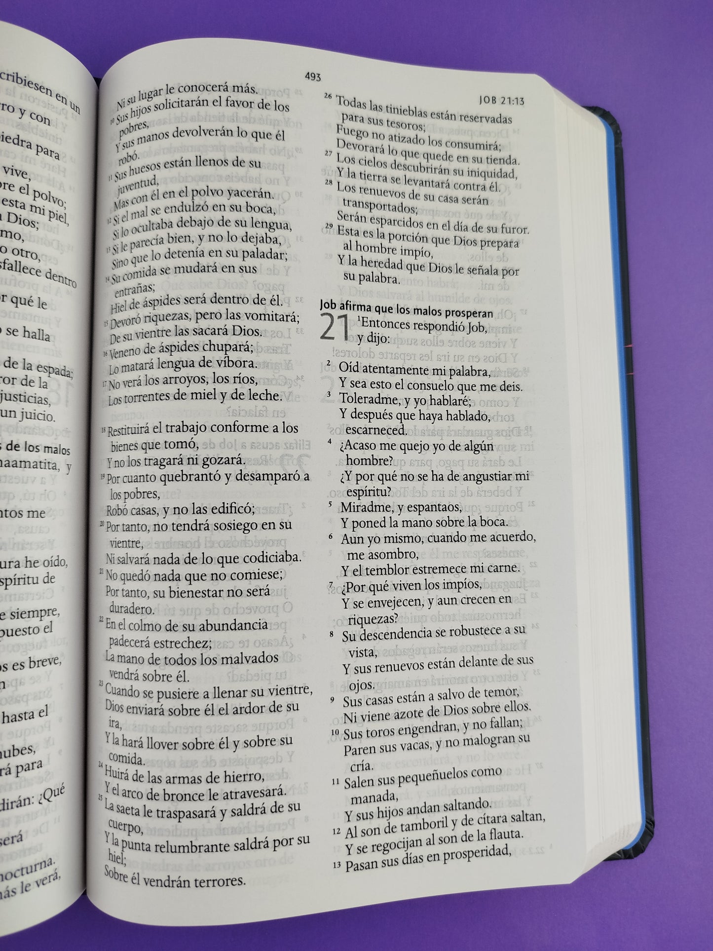 Biblia rvr 1960 nombres de Dios letra grande león de Juda tapa dura by Reina Valera 1960