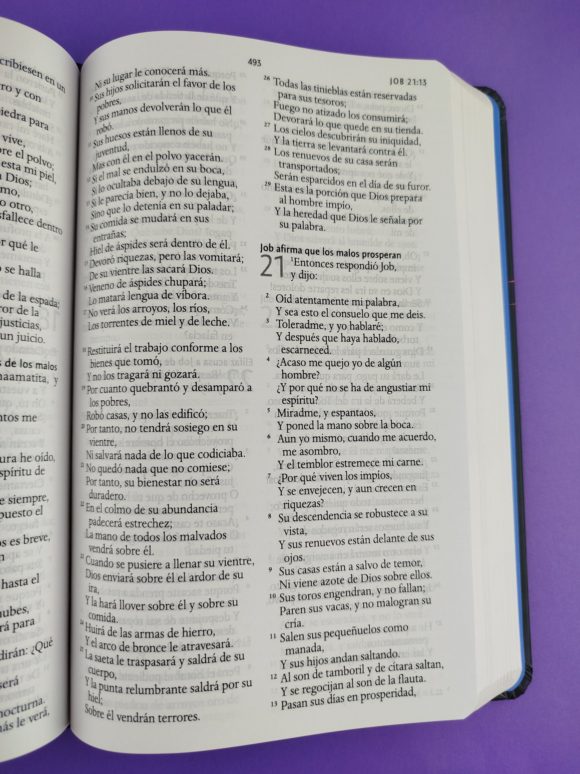 Biblia rvr 1960 nombres de Dios letra grande león de Juda tapa dura by Reina Valera 1960