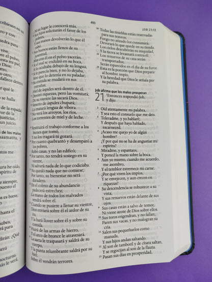 Biblia rvr 1960 nombres de Dios letra grande león de Juda tapa dura by Reina Valera 1960