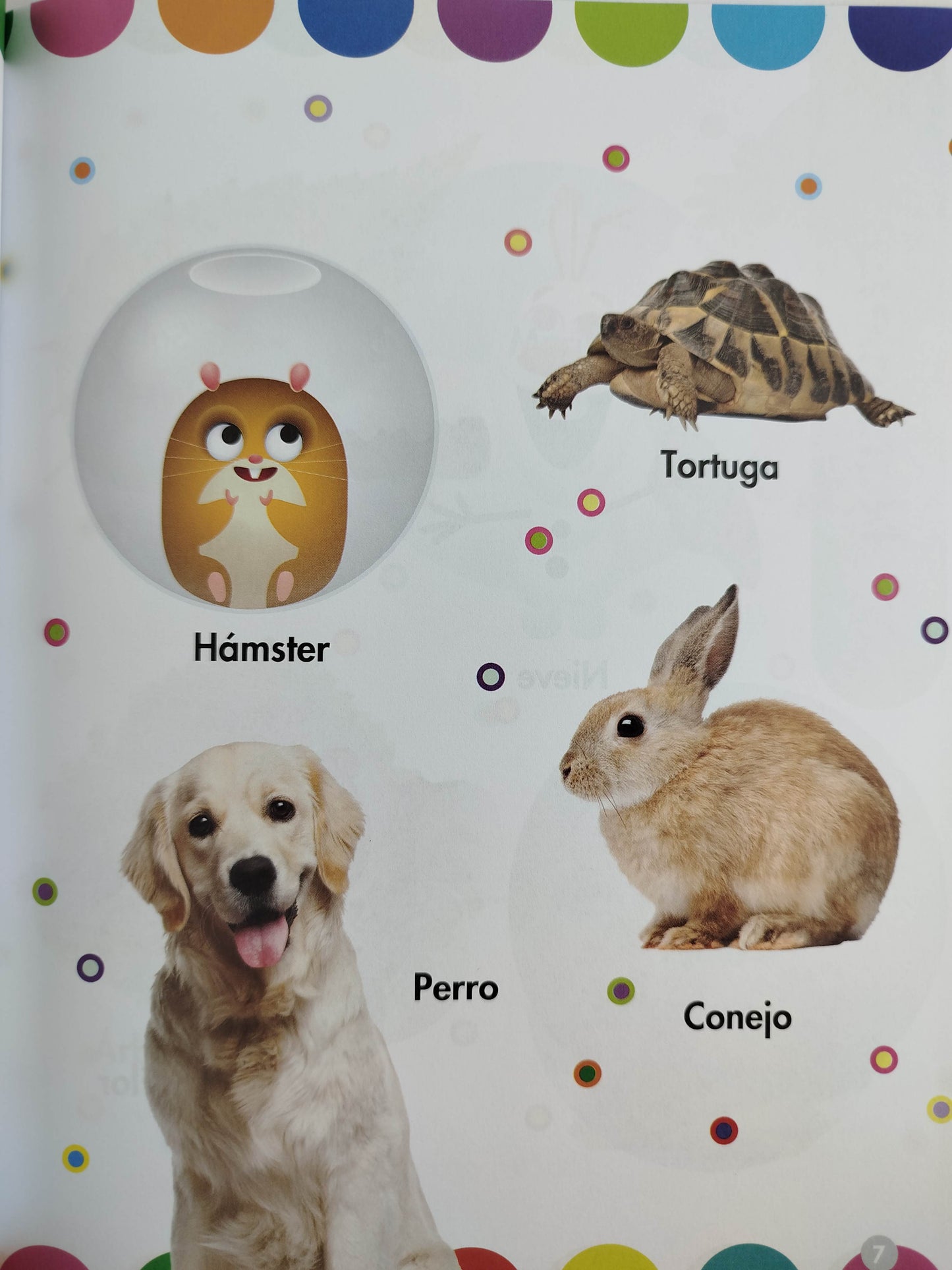 Mis primeras palabras by Disney Publishing