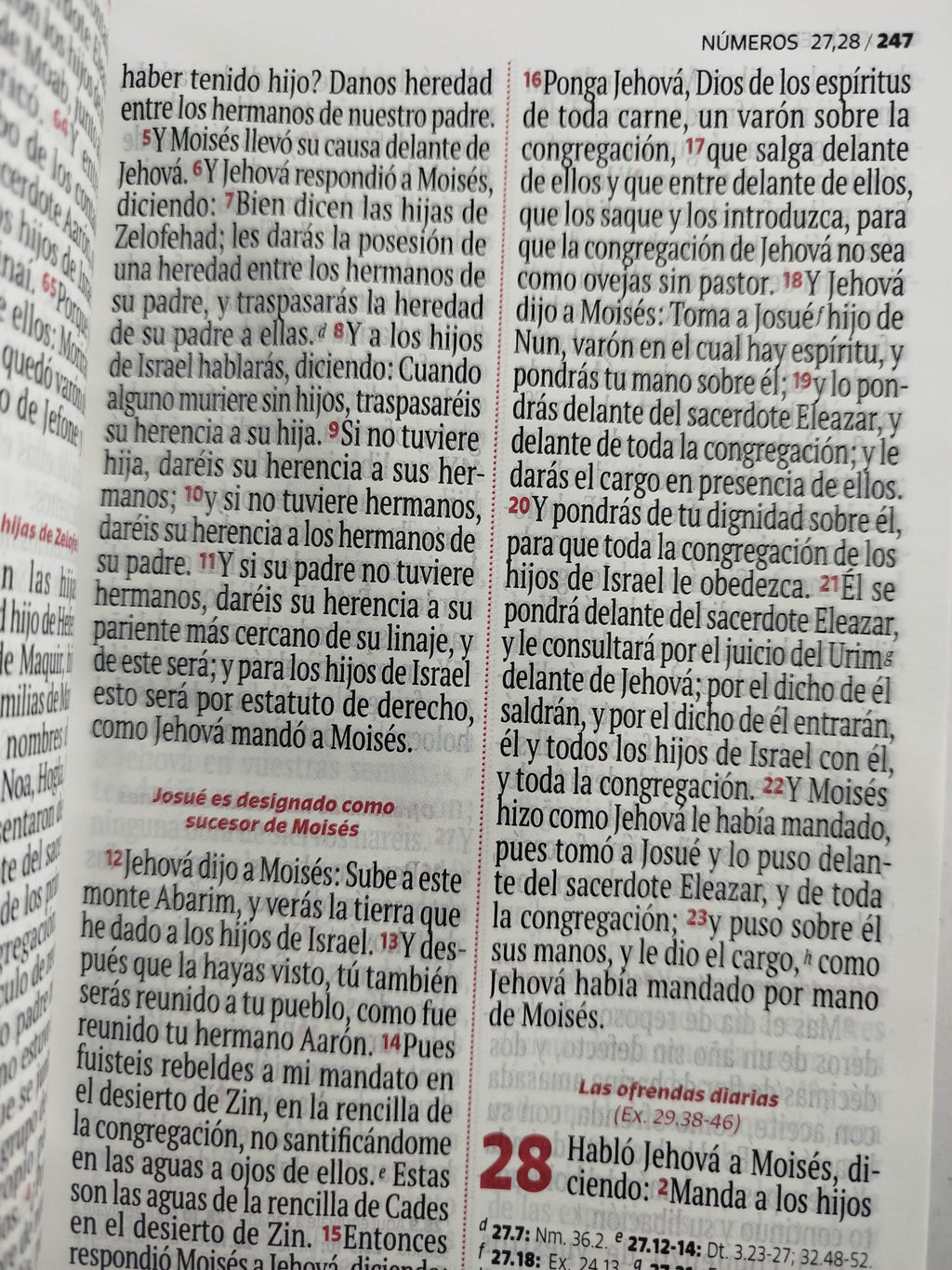 Biblia RVR 1960 letra grande lila - blanco by Reina Valera 1960