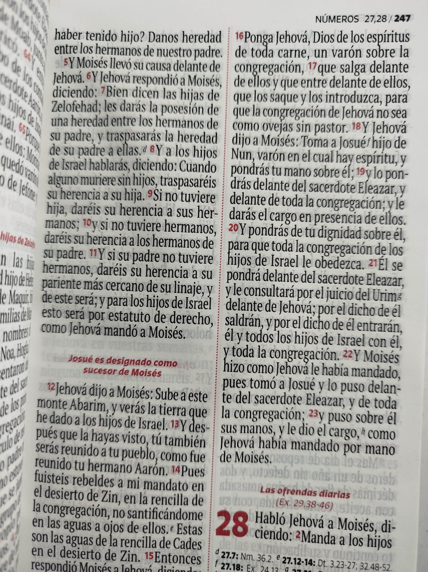 Biblia RVR 1960 letra grande lila - blanco by Reina Valera 1960