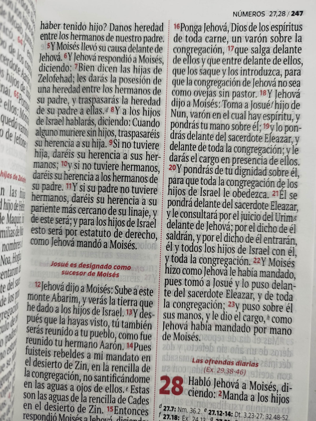 Biblia RVR 1960 letra grande lila - blanco by Reina Valera 1960