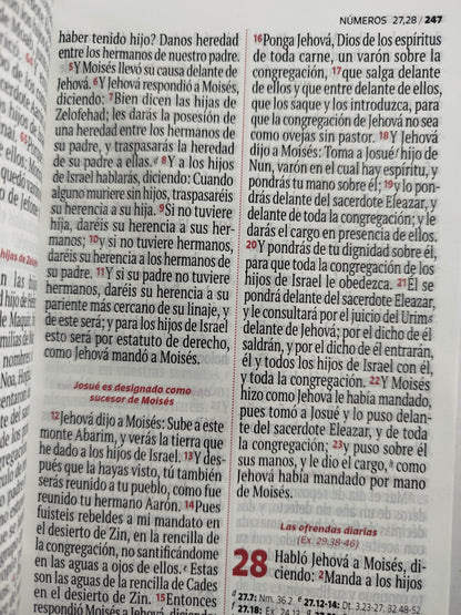 Biblia RVR 1960 letra grande lila - blanco by Reina Valera 1960