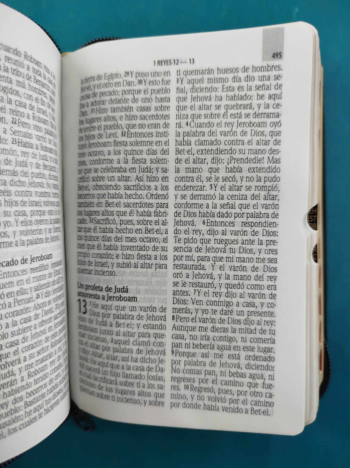 Biblia RVR 1960 Negra bolsillo Letra Grande by Reina Valera 1960