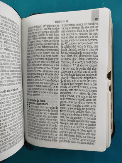 Biblia RVR 1960 Negra bolsillo Letra Grande by Reina Valera 1960