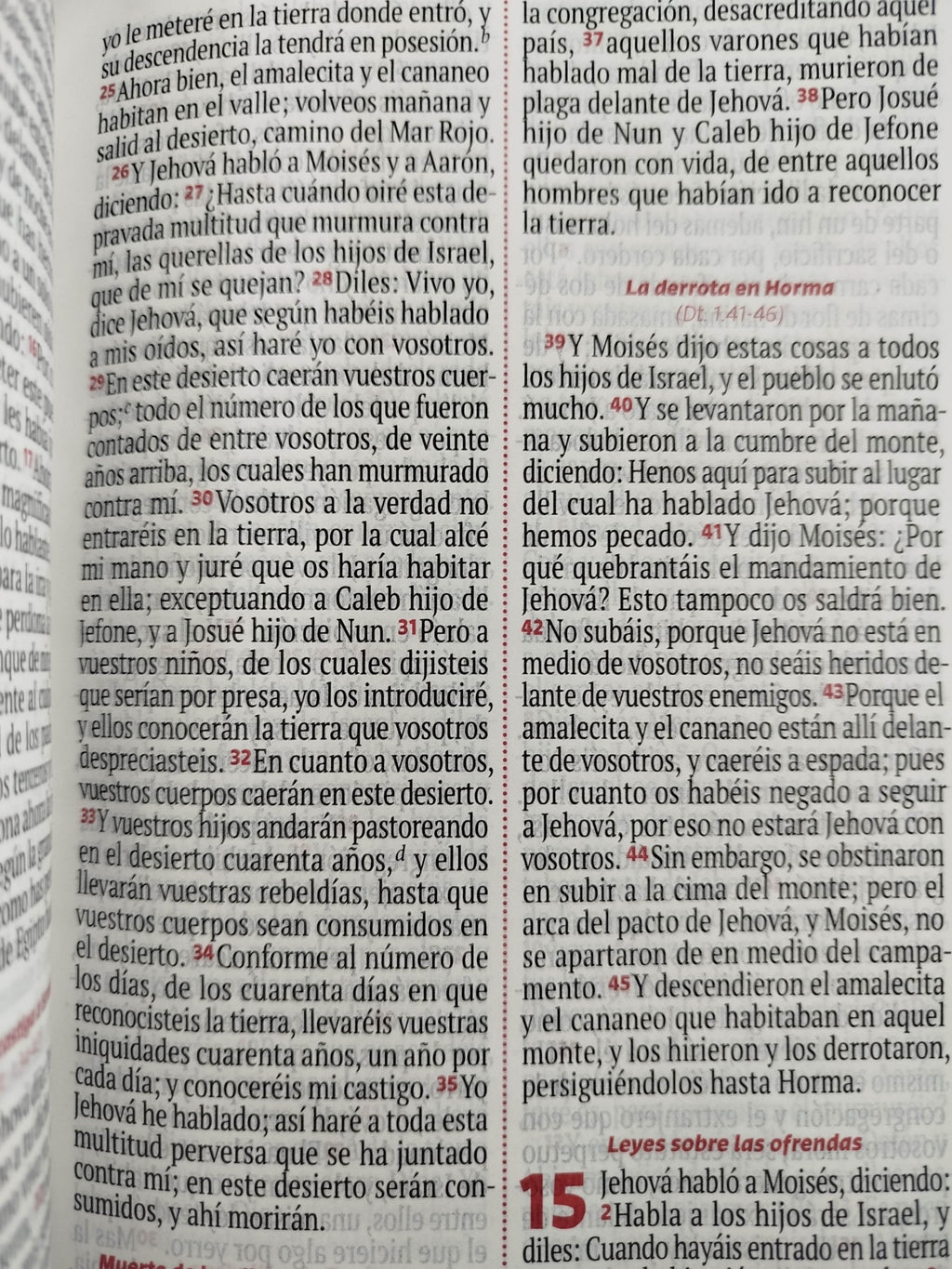 Biblia RVR 1960 negra, canto plateado letra grande by Reina Valera 1960
