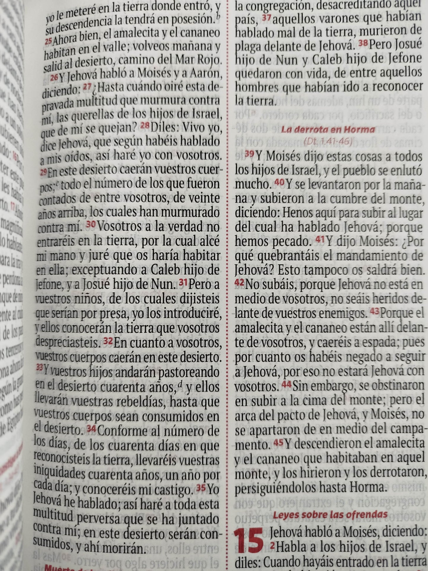 Biblia RVR 1960 negra, canto plateado letra grande by Reina Valera 1960