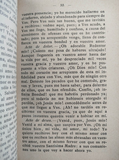 El apóstol del hogar by Adolfo Schilitter