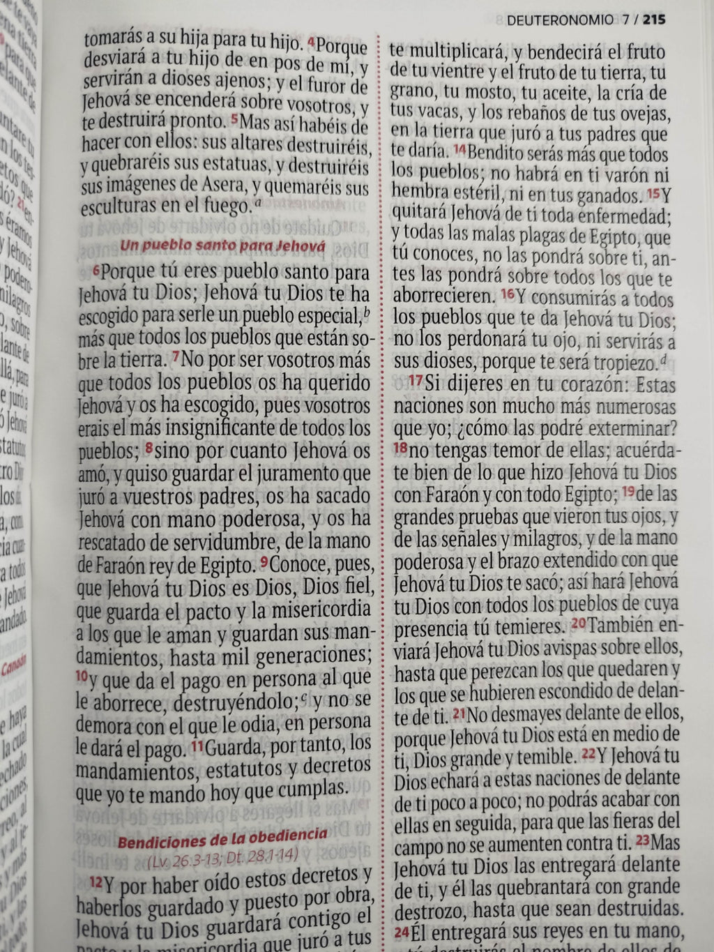 Biblia RVR 1960 letra grande verde - rosado by Reina Valera 1960