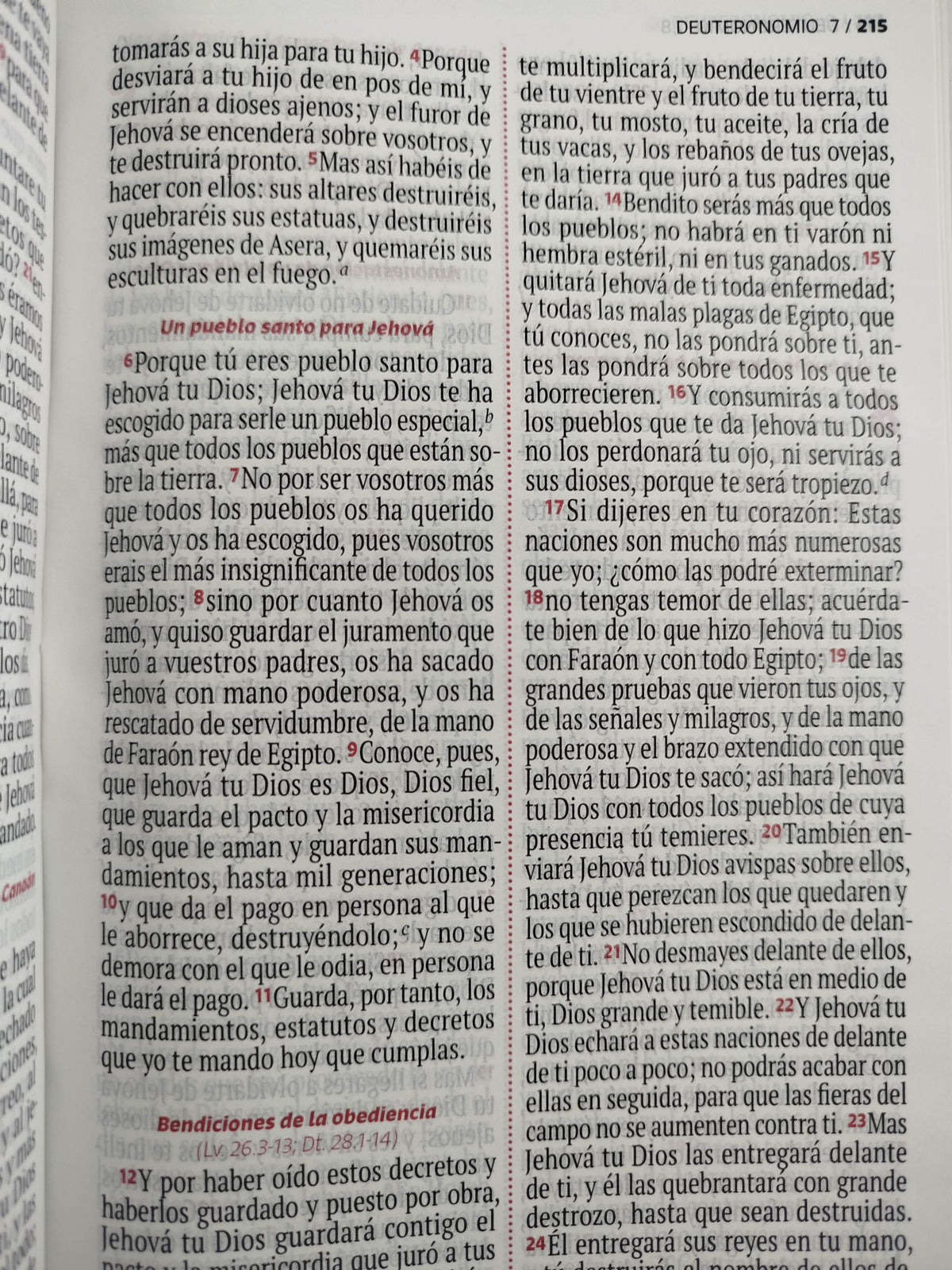 Biblia RVR 1960 letra grande verde - rosado by Reina Valera 1960