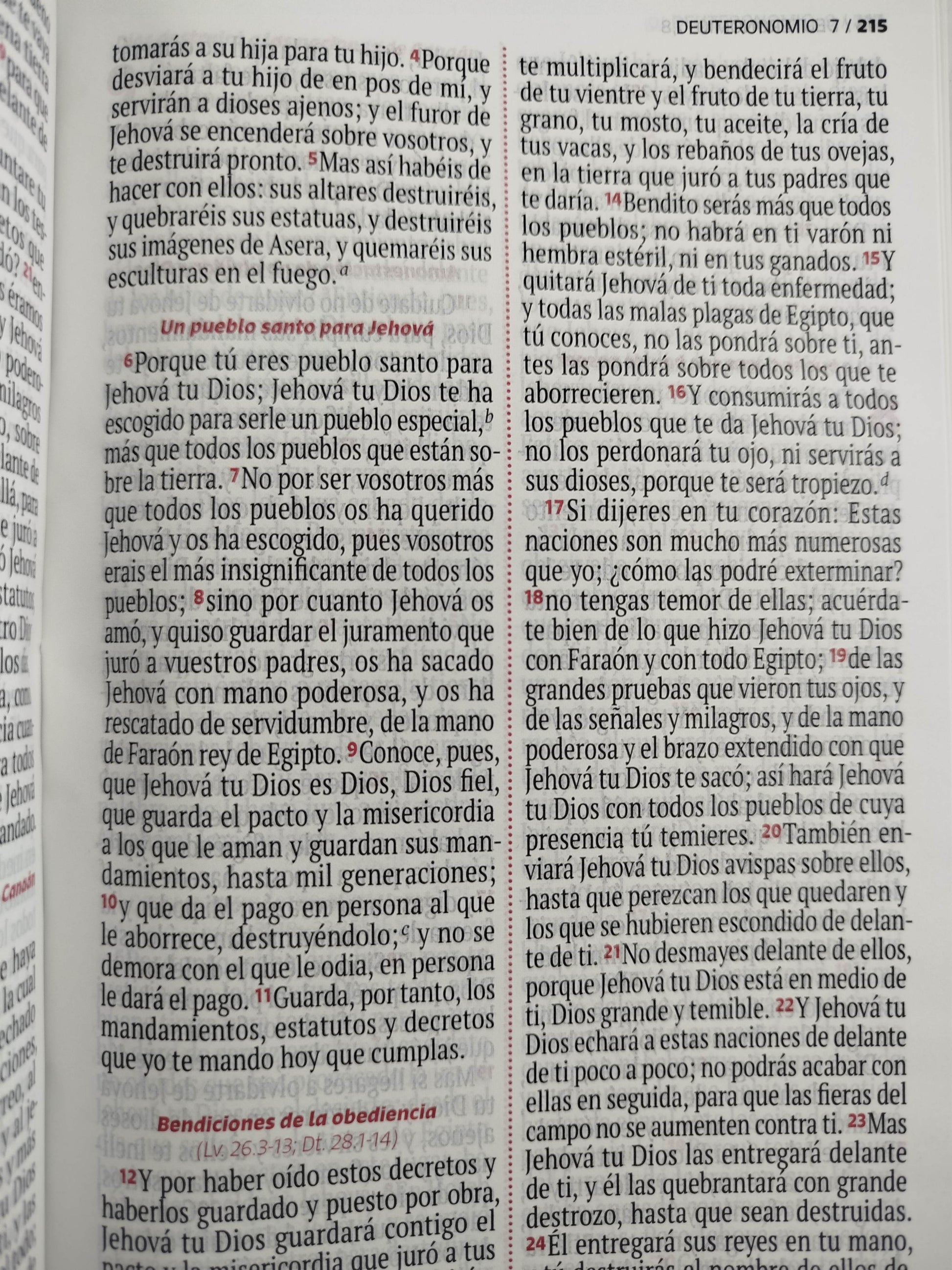 Biblia RVR 1960 letra grande verde - rosado by Reina Valera 1960