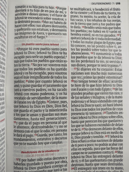 Biblia RVR 1960 letra grande verde - rosado by Reina Valera 1960