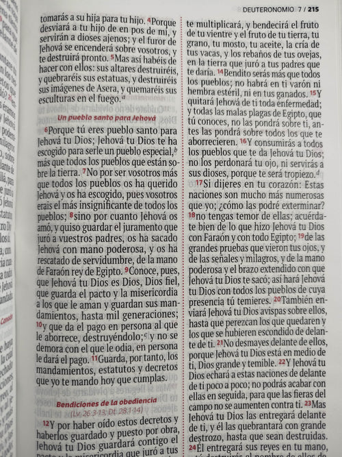 Biblia RVR 1960 letra grande verde - rosado by Reina Valera 1960