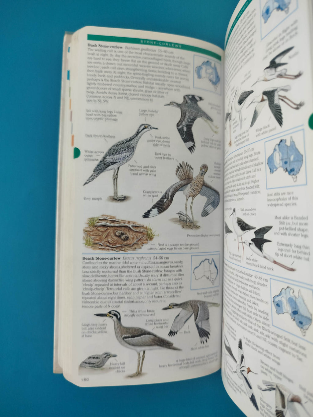 Field guide to Australian Birds by Michael Morcombe