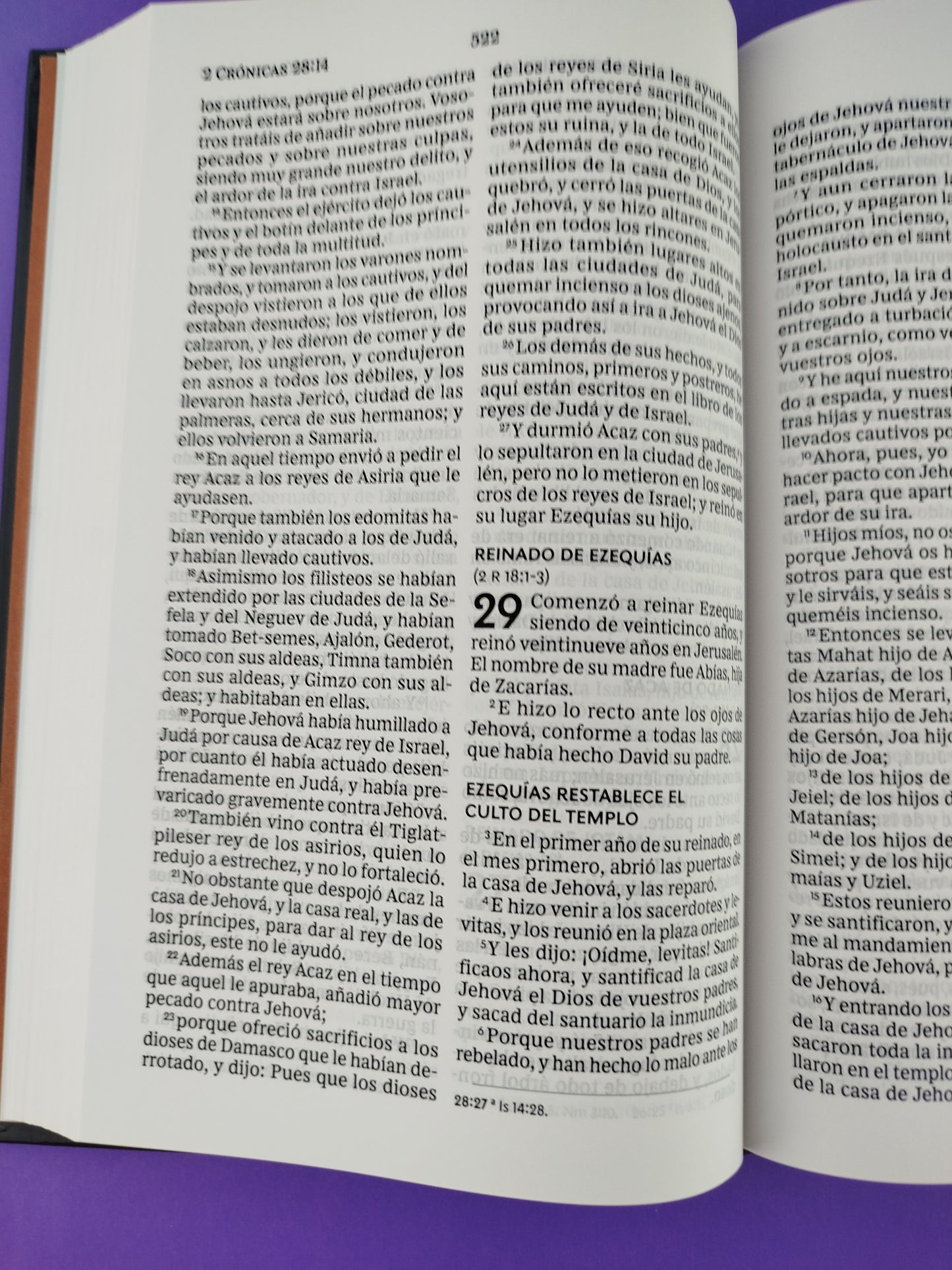Biblia rvr pasta dura letra grande león de de la tribu de judá