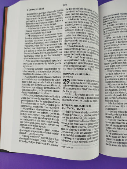 Biblia rvr pasta dura letra grande león de de la tribu de judá